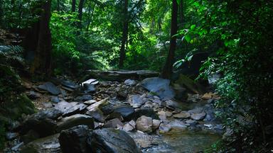 Agumbe Backpacking Trip