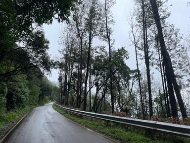 Gangadikal Trek, Chikmagalur