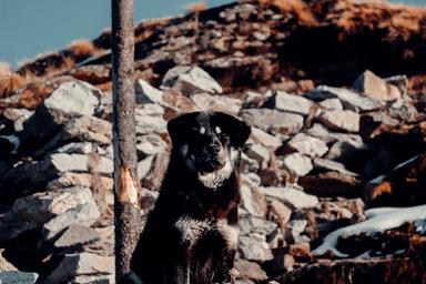 Do Dham with Tungnath Chopta From Cochin (GDDTCCN)