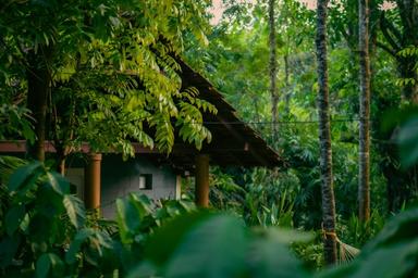 Coorg Tadiandamol Trek, Iruppu Waterfalls