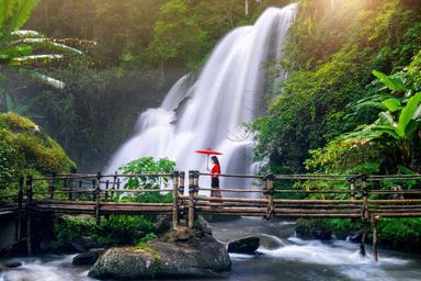 Jim Corbett Tour Package