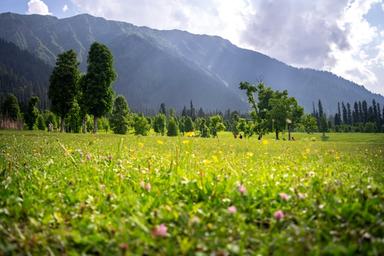 Kashmir Backpacking Trip