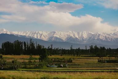Kashmir Couple's Escape: 6 Nights of Scenic Beauty