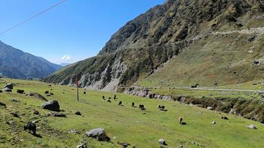 Kedarnath Tungnath Chopta From Cochin (GKTCCN)