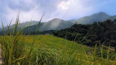Unveil Kerala’s Splendor: 5-Day Tour