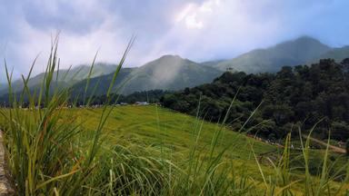 Munnar - Alleppay - thekkady Tour