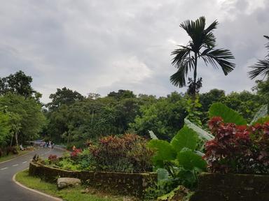 Meghalaya Backpacking - 6 Days Road Trip