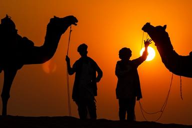 Pushkar Holi Trip from Delhi