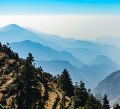 Valley of Flowers Trek Package