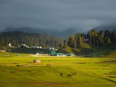 Blissful Kashmir
