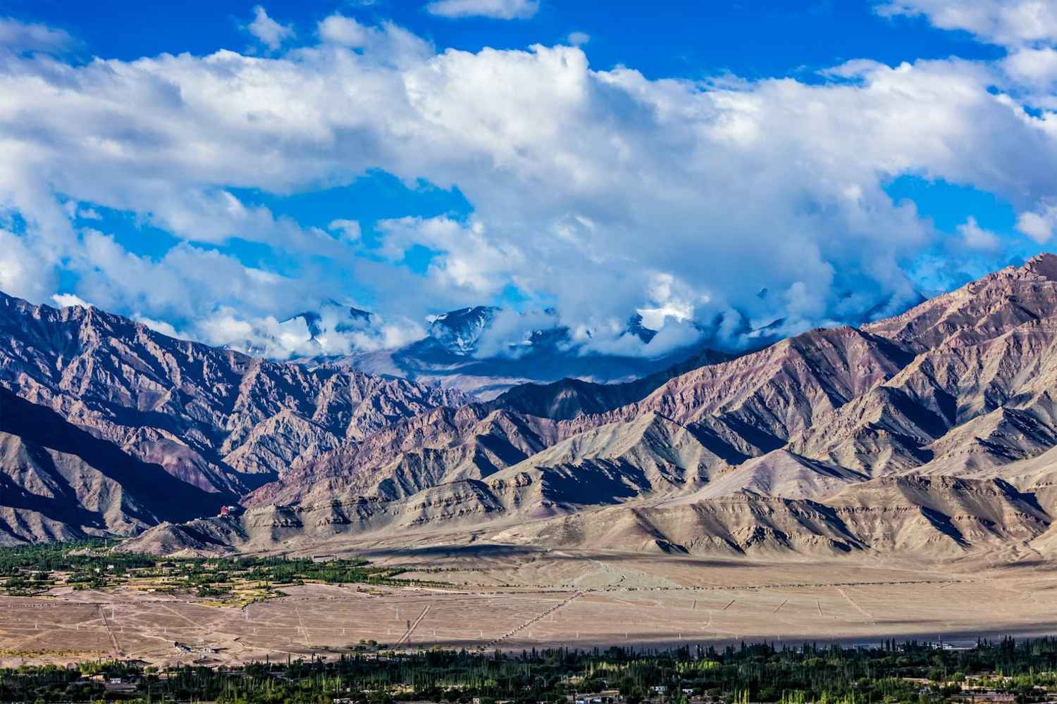 Summer Ladakh Group Trips 2025