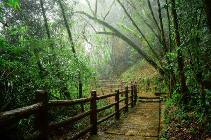 Meghalaya