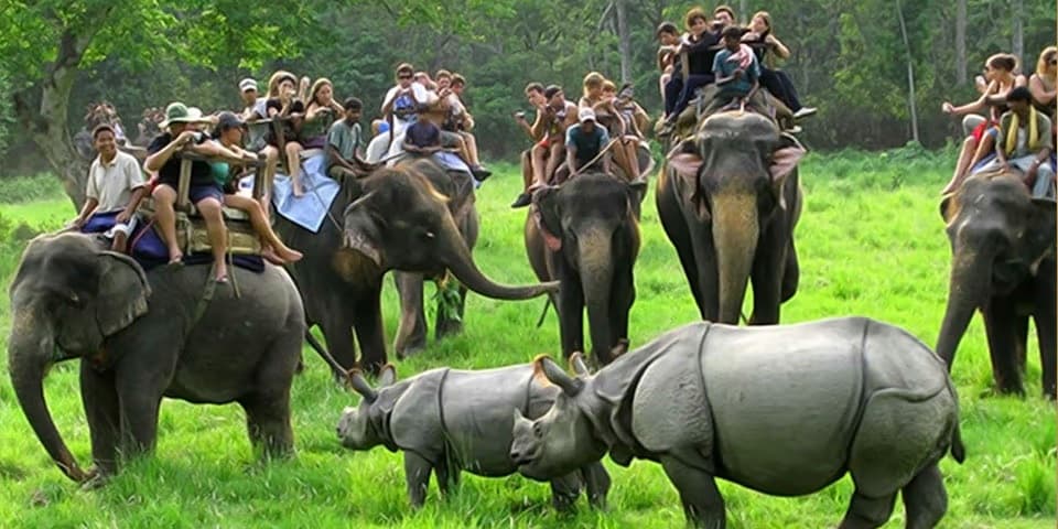 Meghalaya Trekking & Adventure Expedition