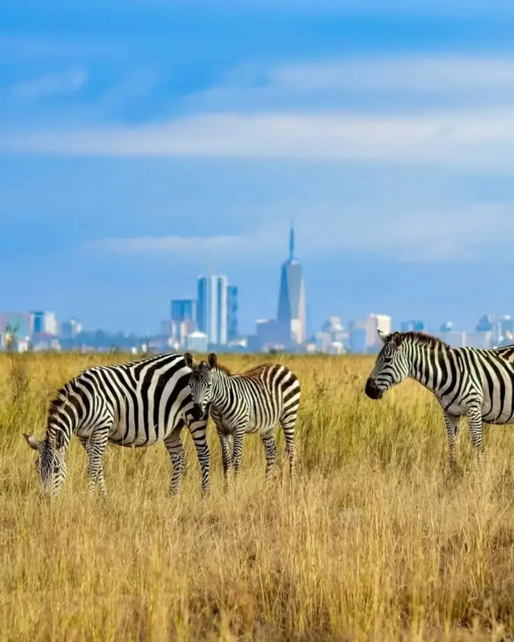 wildlife
